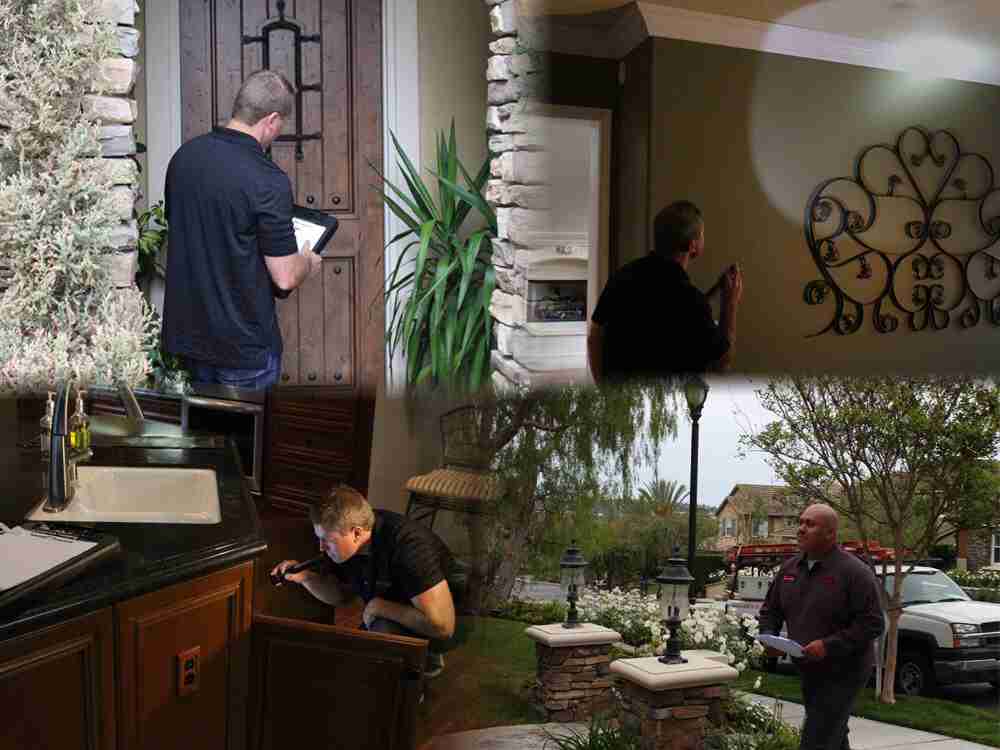 Canoga Park Termite pest control inspectors
