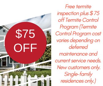 get-75-off-Termite-11